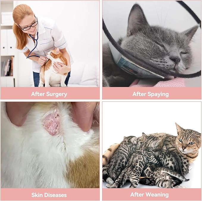 3 PCS Cat Recovery Suit for Spay Abdominal Wounds Female, Cat Onesie for Cats After Surgery, Pet Surgery Recovery Suit Kitten Onesie for Cats Anti Licking (Pure, Large)