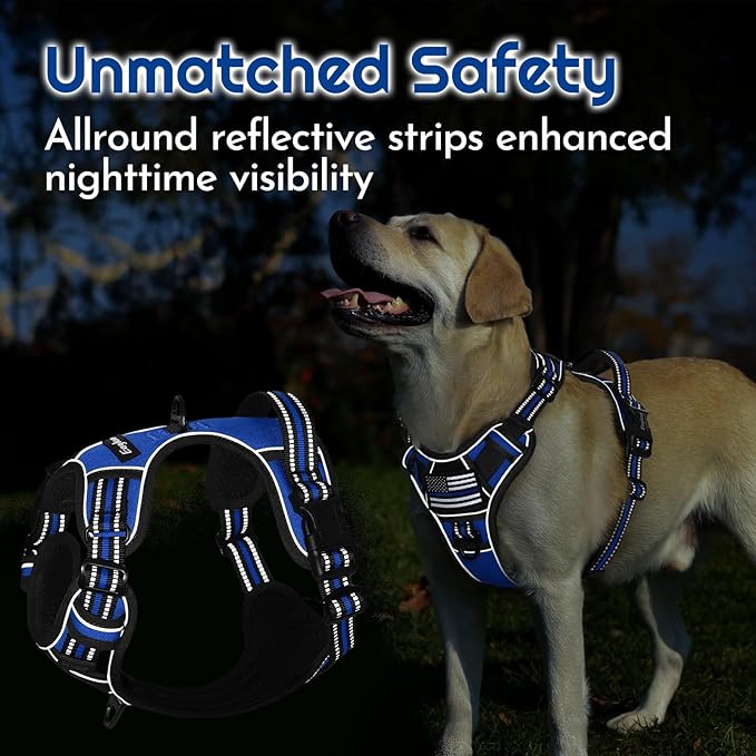 Eagloo Dog Harness for Large Dogs, Easy Wearing with 3 Buckles, Adjustable No Pull Pet Harness with 2 Rings for Walking, No Chock Reflective Soft Padded Vest with Control Handle, Blue & Black, L
