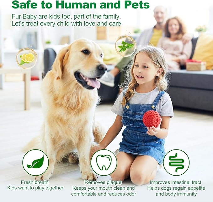 Dog Dental Powder,Dog Teeth Cleaning Powder,Dog Dental Cat Dental Care,Cat and Dog Teeth Cleaning,Canine Plaque Remover Helps Reduce Bad Breath,Improve Pet's Oral Cavity and Freshen Breath(80G)