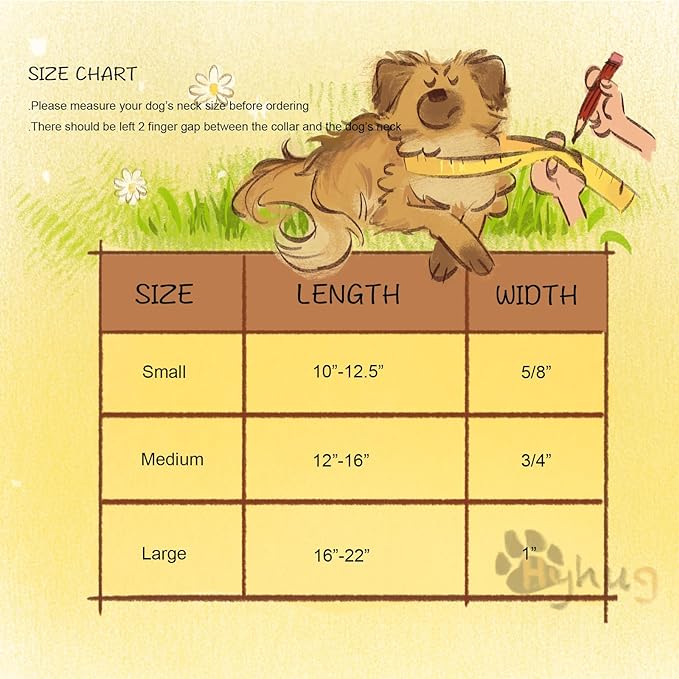 Hyhug Pets Classic Regular Dog Collar with Easy to Put On and Off Buckle. (Large, Lime Green)