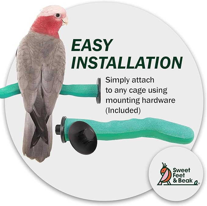 Sweet Feet & Beak Safety Pumice Bird Perch, X-Small 1/2" X 6", Green - Lightweight Grinding Bird Perches for Cage - Bird Nail Trimming Perch for Healthy Beak & Feet - Multi-Size & Color Parrot Stand