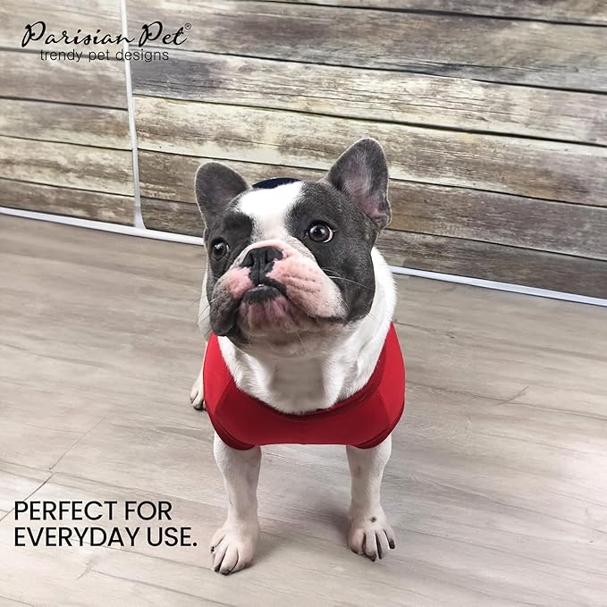 Parisian Pet Embroidered 'Worlds Champion' Dog Shirt - Lightweight Sleeveless Color Block Tee - Machine Washable for Small Dogs