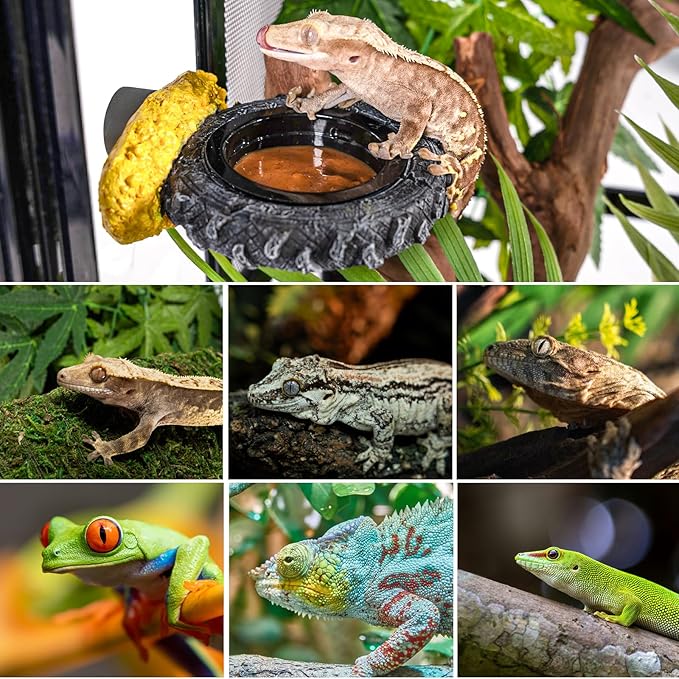 Gecko Gecko Feeder Ledge, Magnetic Reptile Feeding Ledge with 2 Food Bowls, Natural Tire-Design Resin Base for Bearded Dragon, Snake, Frog in Glass/PVC/Acrylic/Wood Tanks
