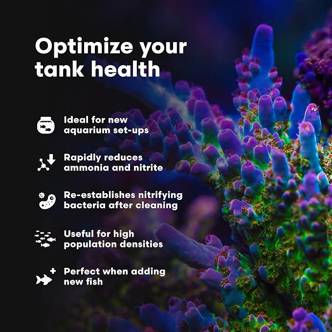 Brightwell Aquatics MicroBacter Start XLM - Concentrated Freshwater Nitrifying Bacteria - Quick Start Fish Tank Starter, Lift Microbe Levels & Water Filtering - Aquarium Water Treatments, 33.8 fl oz