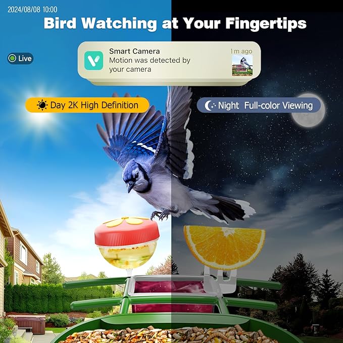 Bird Feeder with Camera Solar Powered : Smart Bird Camera Feeder 2K Live Feed for Backyard - AI Identify Auto Capture Videos, Gifts for Birdlovers Mom Dad, 2.4GHz WiFi