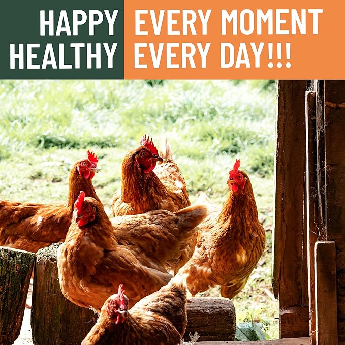 2LB Dried Black Soldier Fly Larvae for Chicken– 85X More Calcium Grubs Than Mealworms for Strong Eggshells & Healthy Growth - High Proteinfor Chickens, Birds, Ducks, Geese & Pets