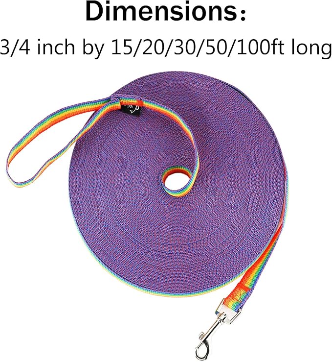 Hi Kiss Dog/Puppy Obedience Recall Training Agility Lead - 15ft 20ft 30ft 50ft 100ft Training Leash - Great for Training, Play, Camping, or Backyard (100 Feet, Rainbow)