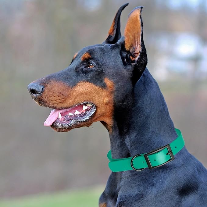 Dogline Biothane Waterproof Dog Collar Strong Coated Nylon Webbing with Black Hardware Odor- Proof for Easy Care Easy to Clean High Performance Fits Small Medium or Large Dogs, Teal