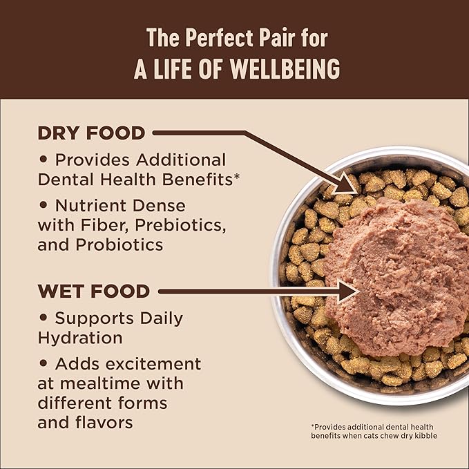 Wellness CORE+ Hairball Pate Adult Wet Cat Food, Natural, Protein-Rich, Grain Free, 2.8 Ounce, 12 Pack (Chicken)