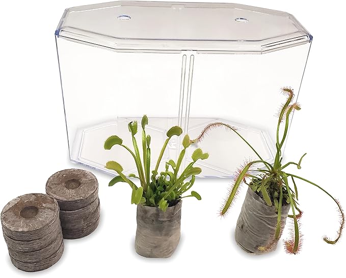 Venus Fly Trap Live Plant + Sundew Plant Set with Terrarium + Carnivorous Plants Food, Feeding Tweezers, Peat and Venus Flytrap + Sundew Carnivorous Plants Live