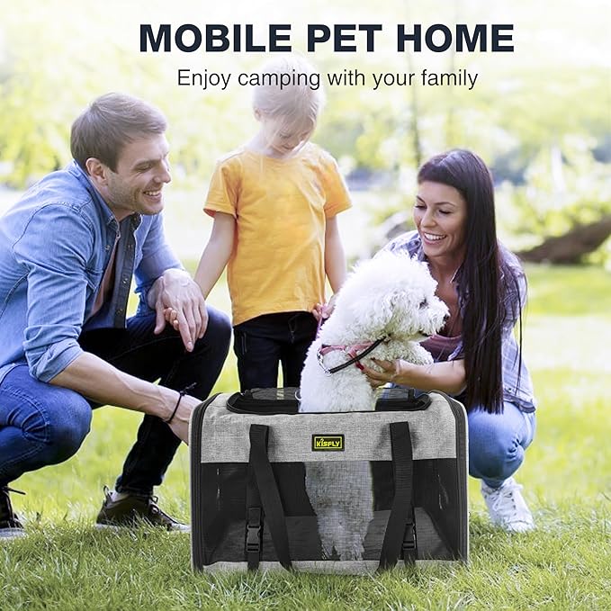 Cat Carrier for 2 Cats/Kitten, Pet Carrier for Cat, Puppy, Small Dog & Bunny, Foldable Soft-Sided Travel Pet Bag, Sturdy Frame Support, up to 25 lbs, Car Seat Belt Compatible, 20x13x13 in, Gray