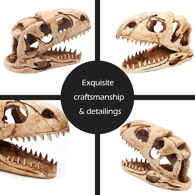 Dinosaur Animal Skull Aquarium Large Dรฉcor Cave Decorations Fish Hideout Tank Betta Tarantula Reptile Snake for Terrarium Decor Ornament Bones Halloween