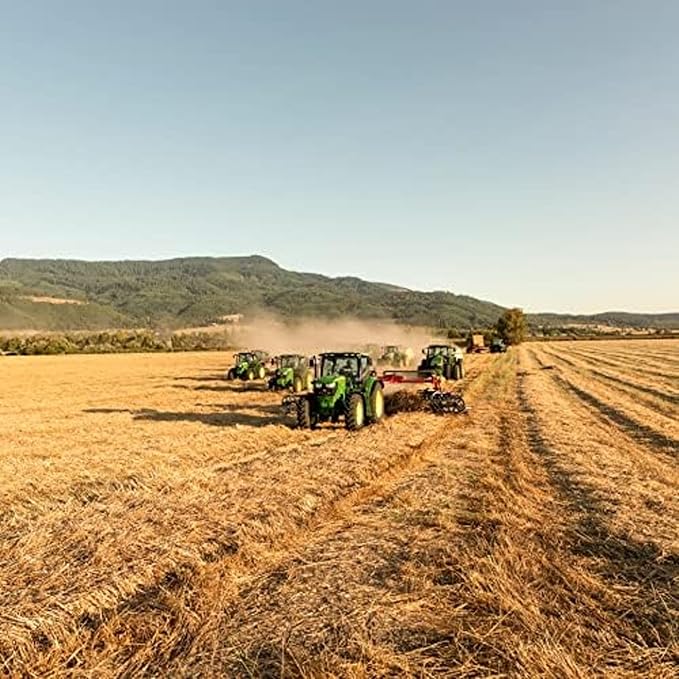 Blue Mountain Hay | Fresh 2nd Cutting Timothy Grass Hay (5 Pounds) | Soft & Leafy, Balanced Nutrition | High-Altitude Hay Pet Food for Adult Rabbits, Guinea Pigs, Chinchillas, and Other Small Pets