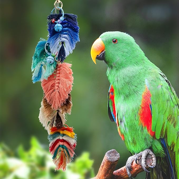 Bird Toys, Multicolor Rope Chew Toy with Metal Hook and Bells, Parakeet Toys, Bird Cage Accessories for Budgies, Cockatiels, Lovebirds, Green Cheeks, Small to Medium Birds