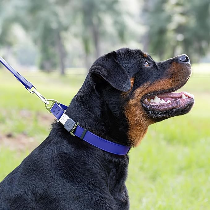 Dogline Biothane Waterproof Dog Collar with Herm Sprenger Black Stainless Steel Quick Release Buckle – Heavy Duty Tactical Durable Collar for Dogs – Comfortable and Safe Pet Collar, W 3/4" L 12-19"