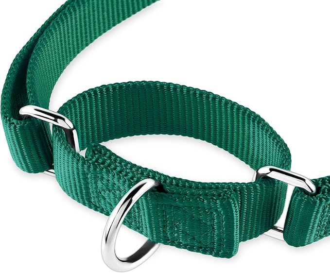 Hyhug Martingale Dog Collar Without Buckle: Anti Escape, No Slip Heavy - Duty Nylon, Colorfast & Adjustable for Medium Breeds(Medium, Solid Color Dark Green