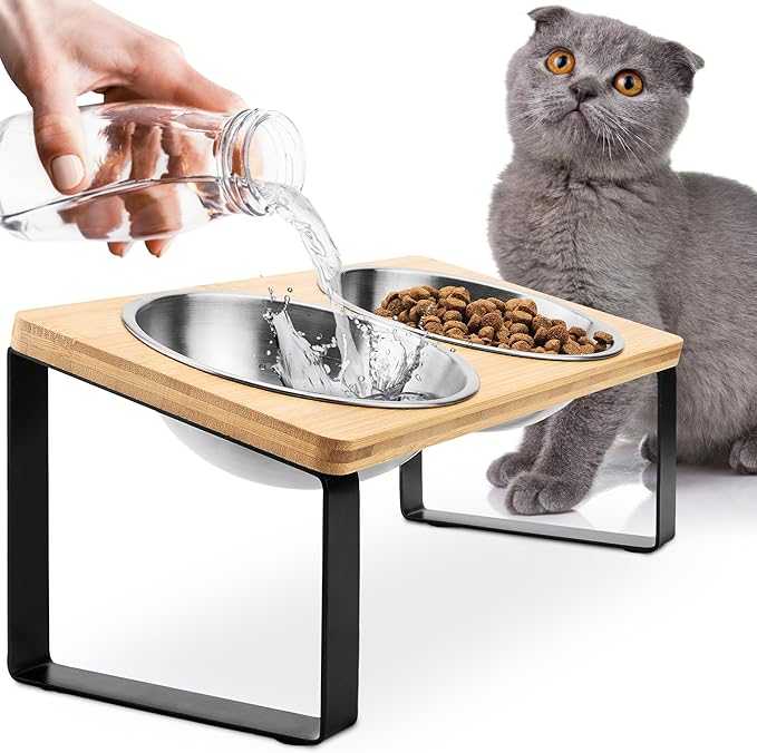 Raised cat Bowls for Indoor Cats by WinTruffles, Elevated cat Bowls, Tilted and Elevated Anti Vomiting Cat Dishes for Food and Water, Set of 2 Stainless Steel Bowl