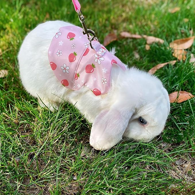 2-Pack Small Pet Harness & Leash Set – Soft, Adjustable Vest for Rabbits, Kittens, Squirrels & More (Pink, M)