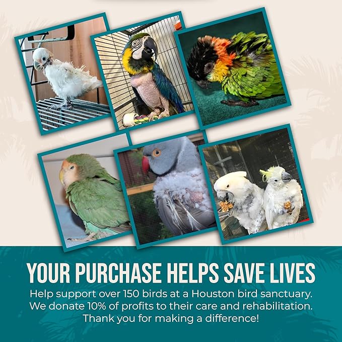 80% Organic Parakeet Food - No Fillers, Fatty Seeds, or Dyes - Budgies, Lovebirds & Parrotlets - Premium Human Grade Seed Mix, Grain & Wholesome Veggies – Made in USA (4 lbs)