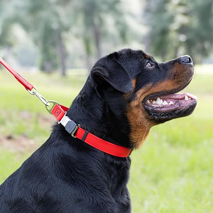 Dogline Biothane Waterproof Dog Collar with Herm Sprenger Black Stainless Steel Quick Release Buckle – Heavy Duty Tactical Durable Collar for Dogs – Comfortable and Safe Pet Collar W 1" L 15-25" Red