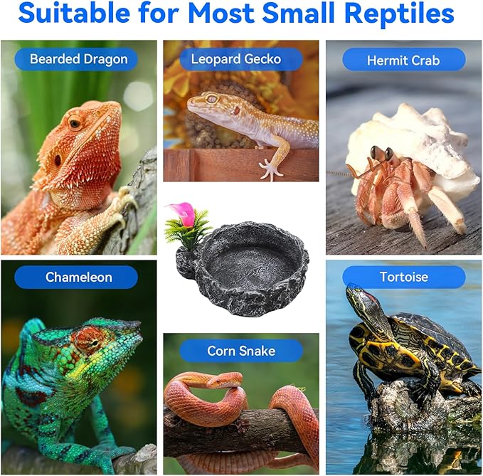 Reptile Food Dish,Rock Reptile Terrariums Water Dish, Water and Food Bowls Lizard Water Bowl for Leopard Gecko, Tree Frog, Snake, Crested Gecko, Frog