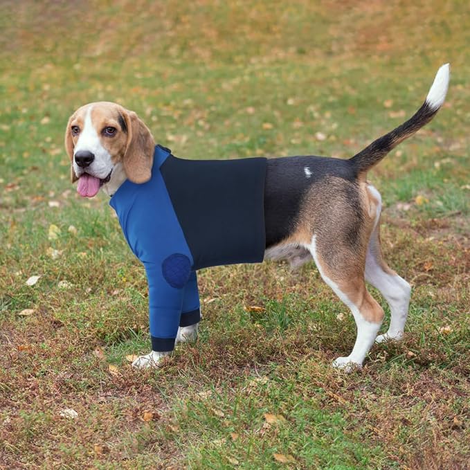 LeLePet Dog Recovery Suit for Front Legs, Dog Sleeve to Stop Licking, Elbow Protector for Leg Injuries Shoulder Wounds After Surgery Male Female,Zippered Long-Sleeved Shirt Cone Alternative(S-3XL)