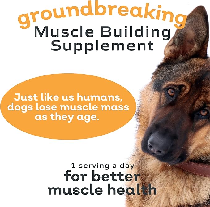 MYOS Canine Muscle Formula - All-Natural Muscle Building Supplement - Helps Reduce Muscle Loss in Dogs Due to Normal Aging and Improves Recovery from Injury or Surgery