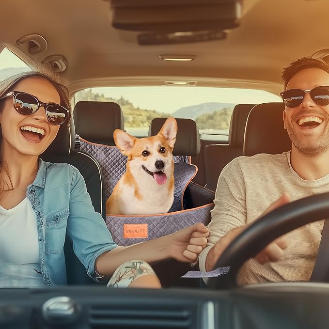 Dog Car Seat for Medium Dogs or 2 Small Dogs, Memory Foam Booster with Bonus Pillow & Removable Washable Cover, 2 Safety Leashes, Anti-Slip Base - Supports 50lbs (Grey)