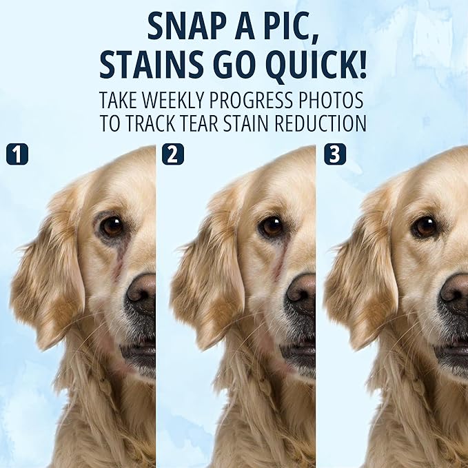 NOVEHA Cat & Dog Eye Wipes Tear Stain Remover for Discharge and Crust | White Pet Face Wipes | Easy Daily Pets Gentle Eye Cleaner for Whitening & Cleansing | 2PK - 150 Large Pk Round Wipes