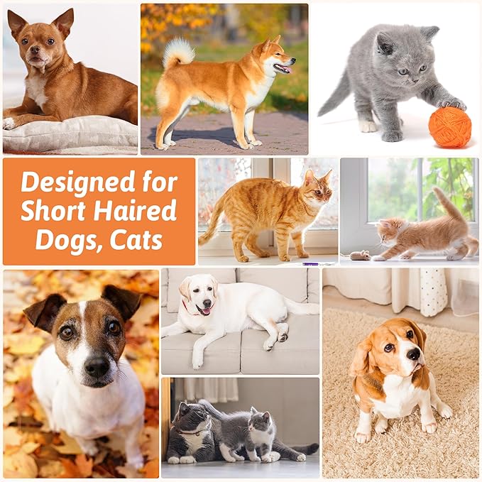 Boar Bristle Pet Brush for Short Haired Dogs and Cats, Dog Cast Hair Brush for Shedding with Beech Wood Handle and Non-Slip Rubber