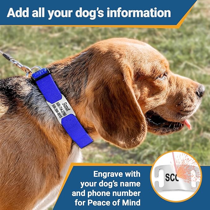 GoTags Reflective Personalized Dog Collar with Nameplate, Adjustable Dog Collar with Custom Engraved Steel Slide On Pet ID Tag, Silent, No Noise Dog Tag for Large Medium or Small (Pink, Small)