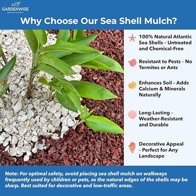 Natural Organic Sea Shell Mulch for Gardens and Landscaping – Decorative and Nutrient-Rich, 0.5–3-Inch Shells, Perfect for Indoor and Outdoor Use (0.7 CF - 20 L - 21 QTS)