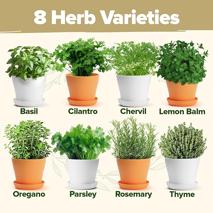 HOME GROWN π£π₯ππ ππ¨π πππ₯π πππ§ 8 Herb Seeds Garden Kit, Complete Indoor Planter Gift with Basil Cilantro Mint & More, Unique Kitchen Growing Set for Women Men, Birthday Housewarming Present