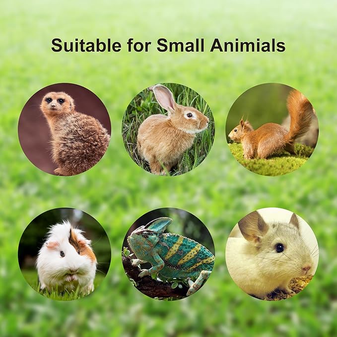 2pcs Figure 8 Harness and Leash with Reflective Strap and Bell for Ferrets, Rabbits, Bearded Dragon, Guinea Pig, Chinchilla and Hamster Small Animal Harness (Blue+Orange)