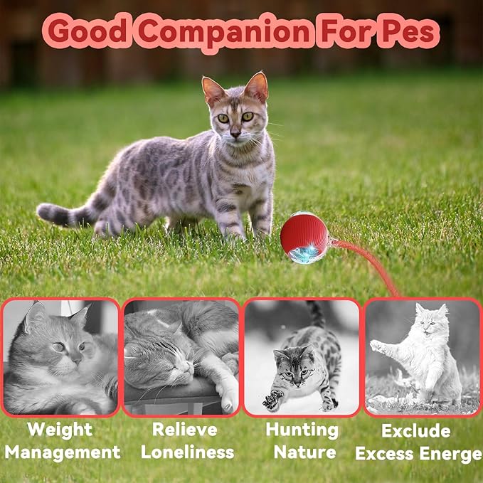 Interactive Cat Toys for Indoor Cats, Automatic Cat Toy with Elastic Mesh Tail, Electric Rolling Ball on Carpet, Chirping and Motion Activate Cat