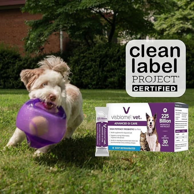 Visbiome® Vet Advanced GI Care Probiotic for Dogs & Cats – 225B CFU, 8-Strain Formula – Veterinarian Recommended, Clean Label Certified – 30 Packets