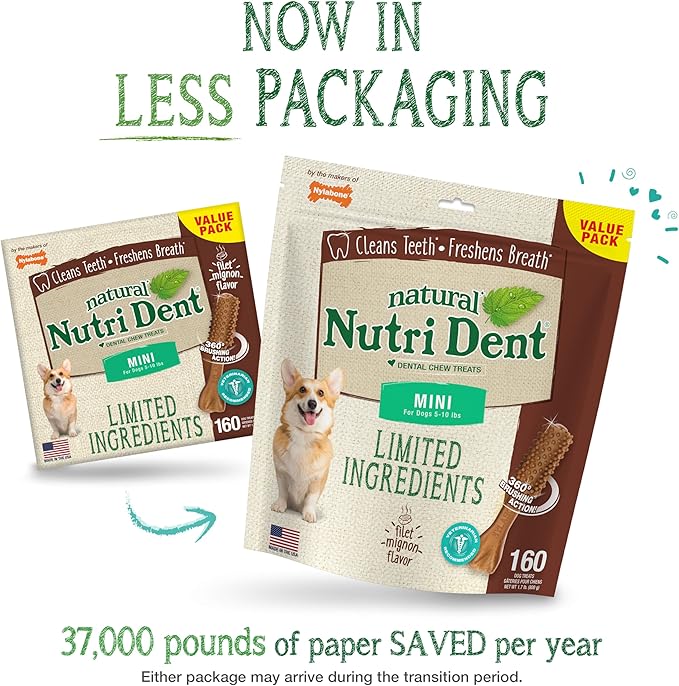 Nylabone Nutri Dent Dog Dental Chews - Natural Dog Teeth Cleaning & Breath Freshener - Dental Treats for Dogs - Filet Mignon Flavor, Mini (160 Count)