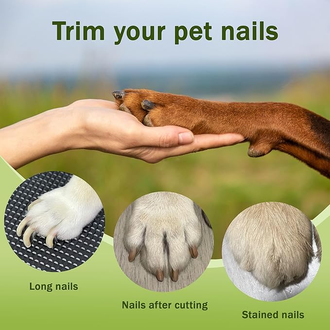 2-in-1 Dog Nail Grinder & Dog Nail Clippers Trimmers for Large Medium Small Dogs Cats Pets Claw Trimmer with LED Lights (White)