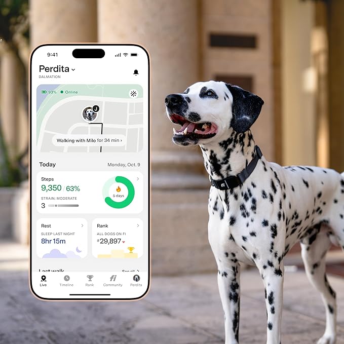 New Fi Series 3+ Smart Dog Tracker Collar – AI GPS for Dogs, Health & Behavior Monitor, Virtual Fence, Escape Alerts, Waterproof, Apple Watch Compatible 12Mo Membership Included