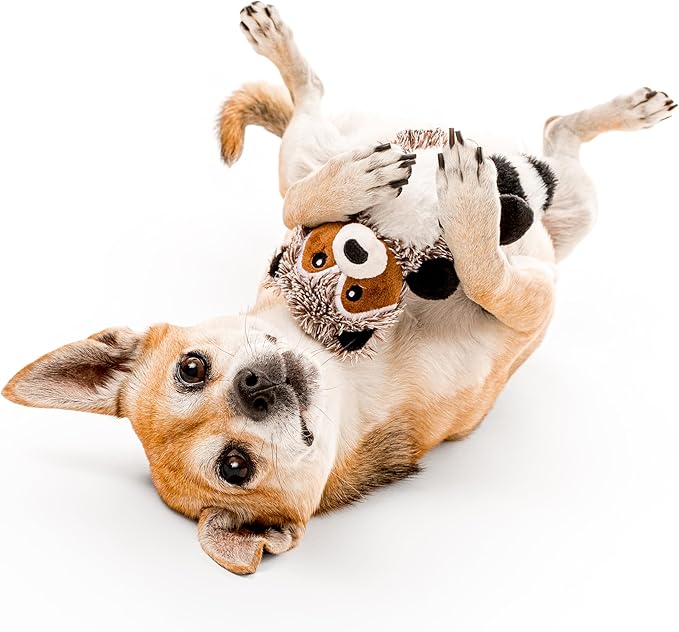 Playology Dog Toys | Plush Toy Racoon Stuffed Animal for Dogs | Small Sweet Potato Scented Toy - Easy to Clean and Made from Non Toxic Materials