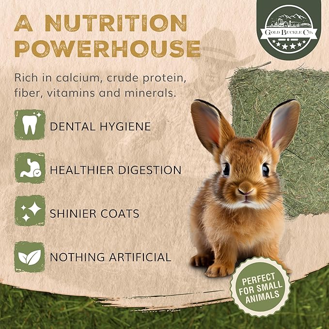 5lb Farm Fresh, USA Grown, Organic Alfalfa Hay for Rabbits, Guinea Pigs, Chinchillas, Goats, Hamsters & Ferrets - Small Animal Food Rich in Protein & Fiber - Just Dried, Hand-Selected