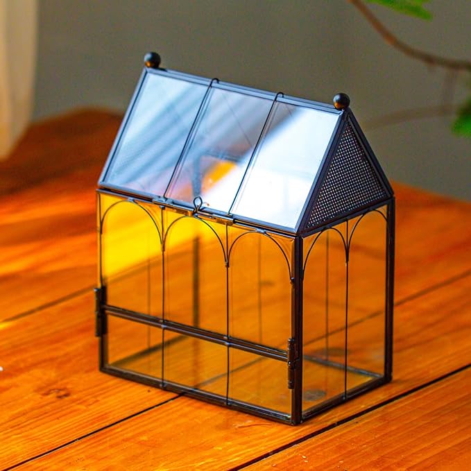 NCYP Small Glass Spider Enclosure with Mesh for Jumping Spiders, Snails, Micro House Shaped Front Opening Plant Terrarium, Home Decor Black, 5.8" x 3.8" x 7" (Terrarium Only)