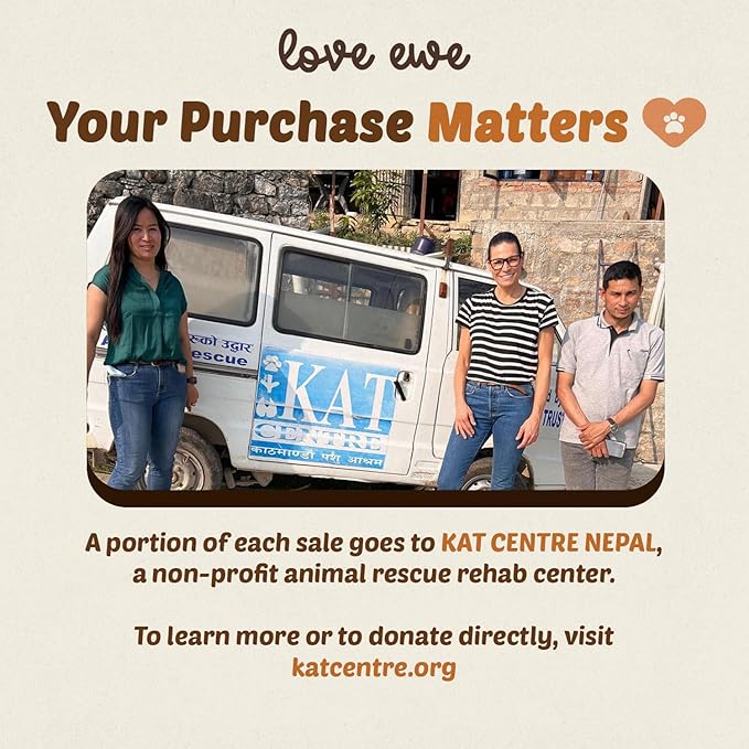 Hustle & Blush Wool Felt Balls - 3 Pack Love Ewe Pet Supplies – 2in Colorful & Durable Cat Toys Handmade from New Zealand, Ideal for Indoor Play and Mental Stimulation – Duck & Bunny Design