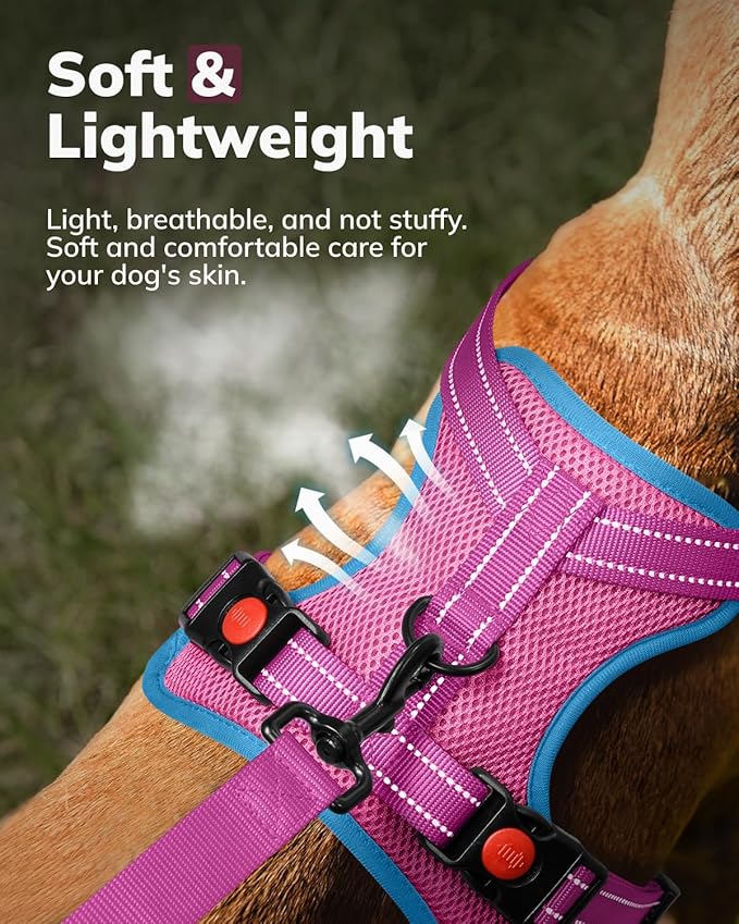 MIDOG No-Pull Dog Harness | Adjustable & Reflective Pet Harness Leash Set for Small Medium Large Dogs Walking, Training| No Choke, Front Clip, Soft Padded Vest with Easy Control Handle - Pink, S