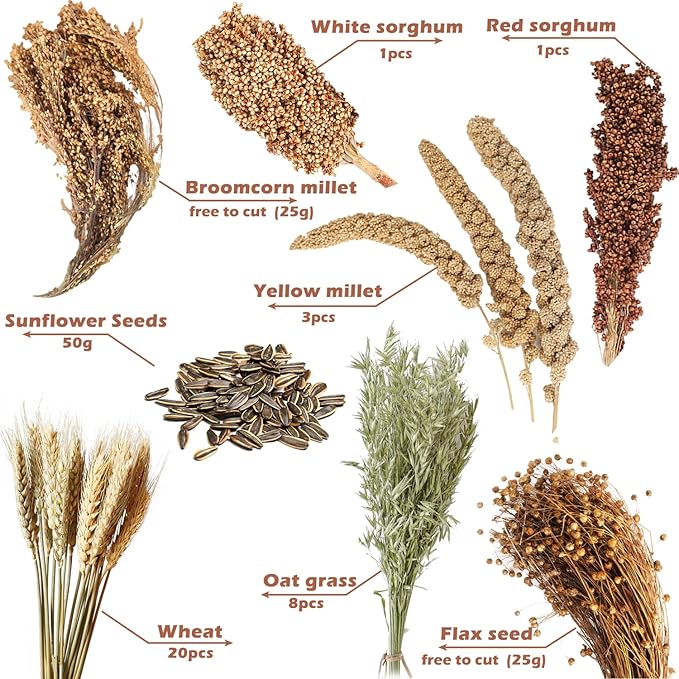 Natural Ear of Grain Flower&Herb Bedding Mate Habitat Decor, Adding Fun Hamster Accessories for Hamsters Gerbils Lemming