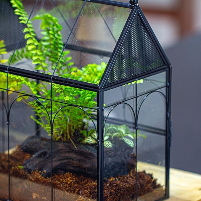 NCYP Glass Enclosure with Vent Holes for Insect, Jumping Spiders, Snails - 7.5" x 4.9" x 9" Small Closed Front Opening Door Succulent Terrarium - House Shape Habitat, Home Decor Black (No Plants)