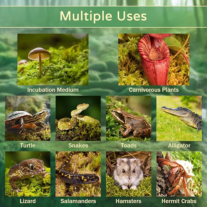 Riare 1.1LB Premium Sphagnum Moss for Reptiles- 25QT Natural Reptile Moss Dried, Forest Live Moss for Terrarium, Frogs Snake Peat Moss Bedding for Leopard Gecko Turtle Anoles Salamanders Orchid Plants