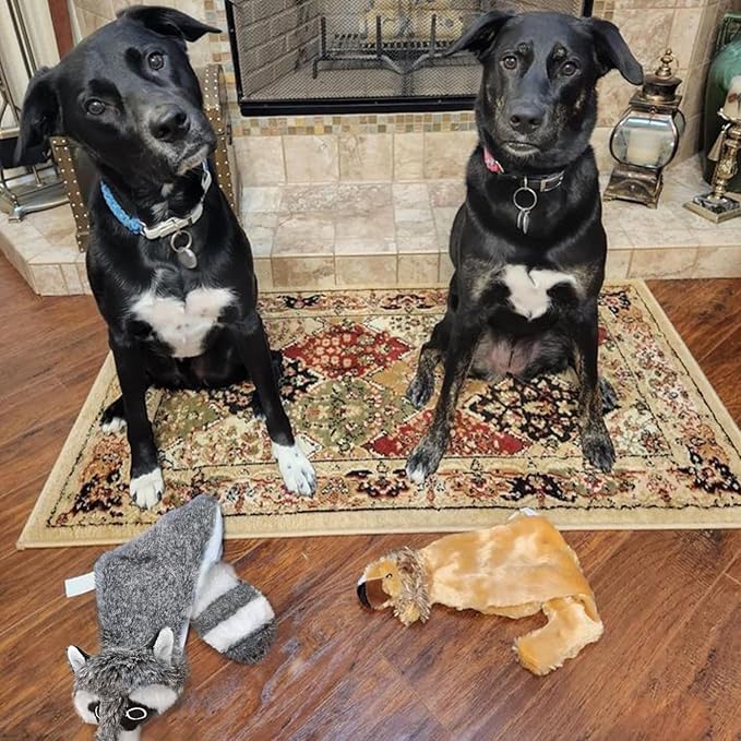 Best Pet Supplies Squeaky Dog Toys with Soft Durable Fabric for Small, Medium and Large Pets Interactive Toy for Indoor Play, Supports Active Biting and Play - Raccoon, Large