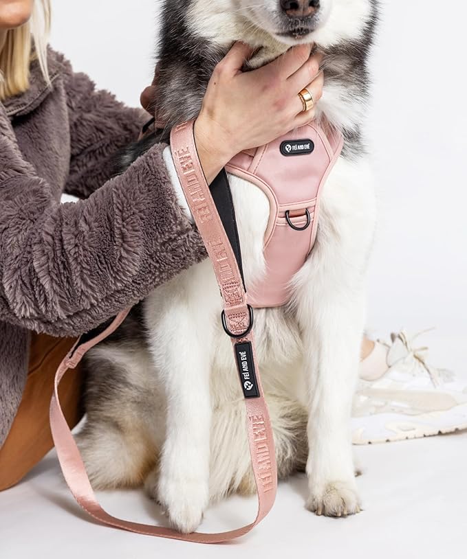 2025 New Edition, Fei & Eve MagEase Dog Harness - 3-Second Magnetic Buckles | 3-Point No-Pull Control | Heavy-Duty 900D Nylon | Dual Safety Handles | Breathable Mesh | Adjustable Fit | Medium, Pink