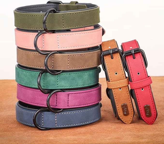 Didog Soft Padded PU Leather Dog Collar, Breathable and Adjustable Red Dog Collars for Small Dogs, Comfortable for Daily Walk, Red, M Fit Neck 12-15"(13-22 lbs)
